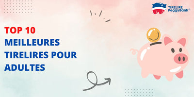 Top 10 des tirelires pour adultes